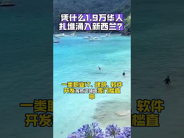 为何2W华人扎堆新西兰#新西兰移民 #移民新西兰 #新西兰移民政策 #新西兰六分制 #新西兰绿名单