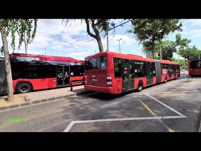 Bratislava mit den Trolley Bussen