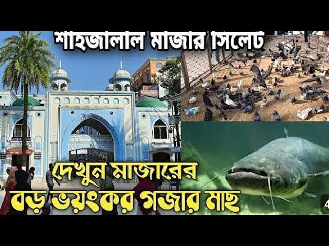 হযরত শাহজালাল মাজার | Hazrat Shahjalal Mazar | সিলেট ভ্রমণ | Sylhet Tour | Ohab Traveler