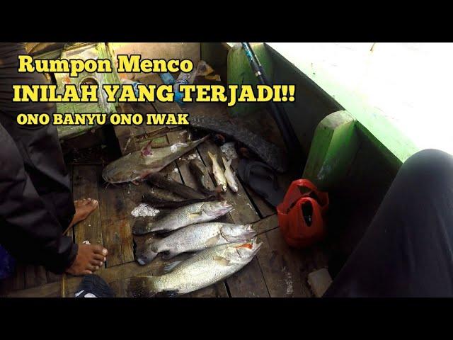 Ono Banyu Ono Iwak ‼️ Mancing Kakap Putih Tepat Di Sarangnya Inilah Yang Terjadi ⁉️