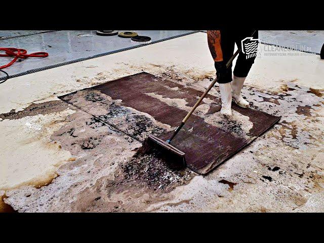 Immerse in Cleanliness: ASMR Detailed Carpet Cleaning | Speeded Up