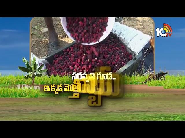 Matti Manishi Full Episode | మట్టి మనిషి | Agriculture Tips | 25-11-2024 | 10TV Agri