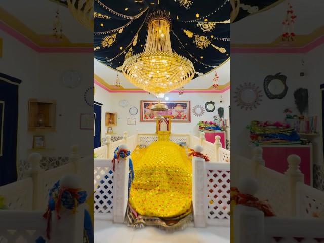 New Dargah Short || Dandi Darbar || #shorts #shortsfeed #viralvideo