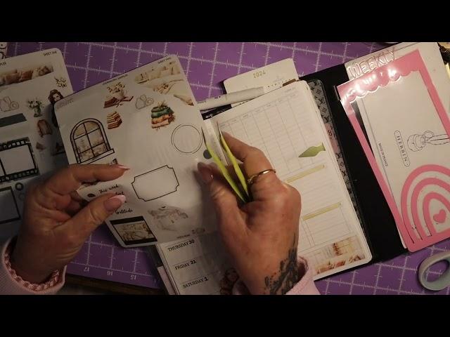Plan with my in my Paper Tess Designs Weekly using Little Lindas stickers