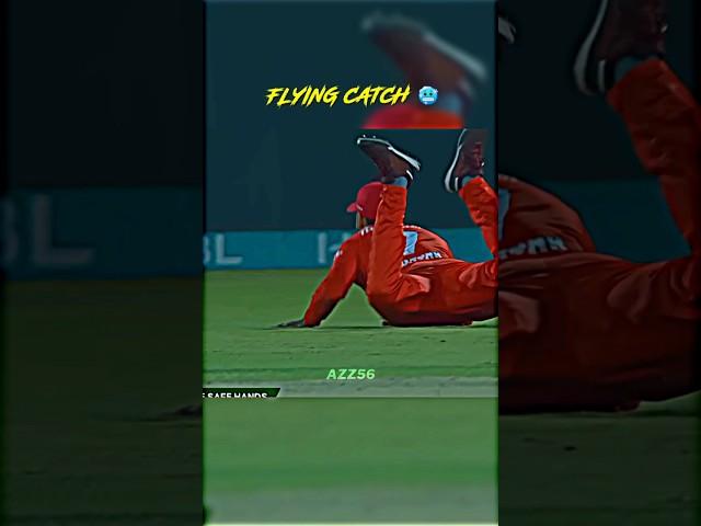 FLYING CATCH ️ #cricket #shorts