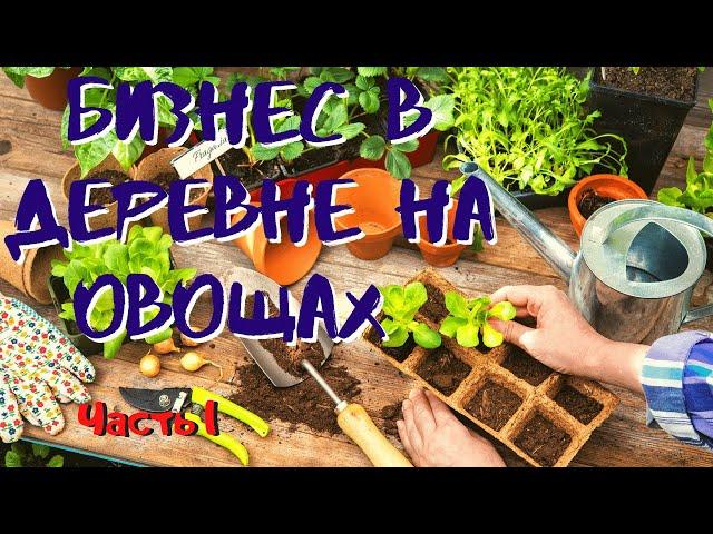 Бизнес  в деревне на овощах. Часть 1 - Сеем перец, баклажан. Деревенские Сотки.