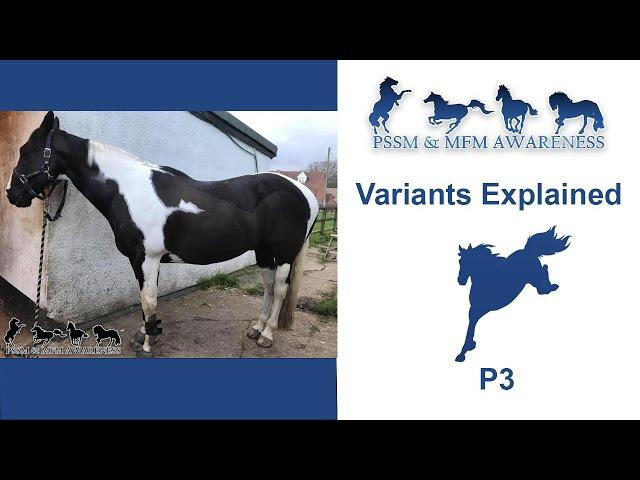 The P3 Variant Of MIM Explained