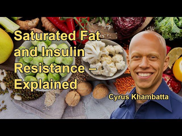 Saturated Fat and Insulin Resistance – Explained