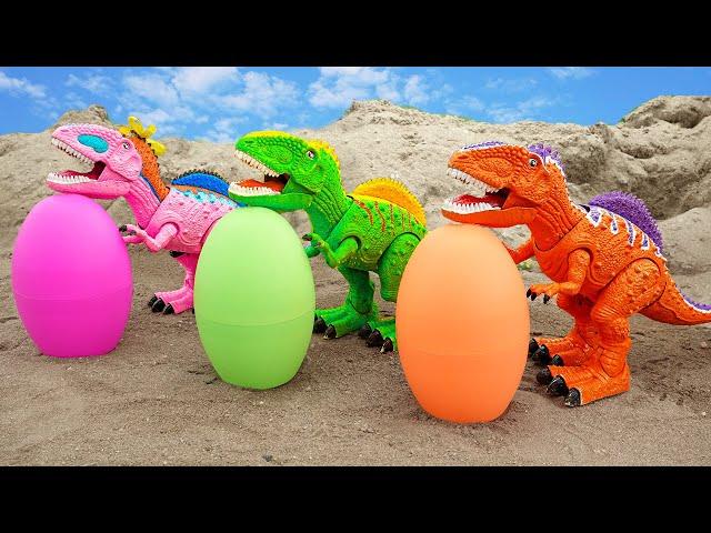 T-Rex Looking dinosaur eggs, assemble dragon, crocodile | ToyTV khủng long