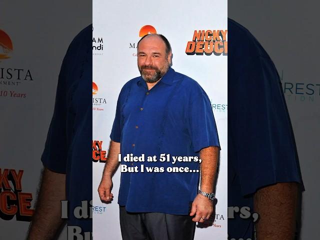 RIP James Gandolfini (1961–2013)–The Iconic Journey of The Sopranos Star and Beloved Hollywood Icon!