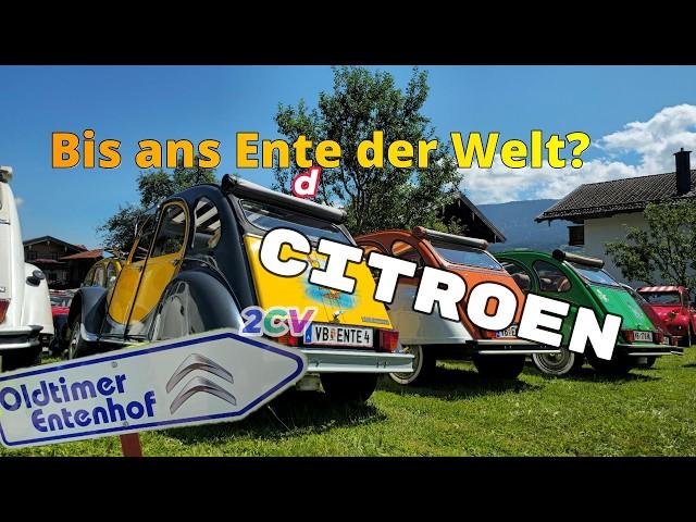 Citroen 2CV -  ENTENTREFFEN am Samerberg 2024  #automobile #2cv #veranderlt