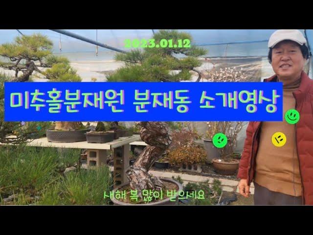 미추홀분재원#인천분재원#분재#분재원