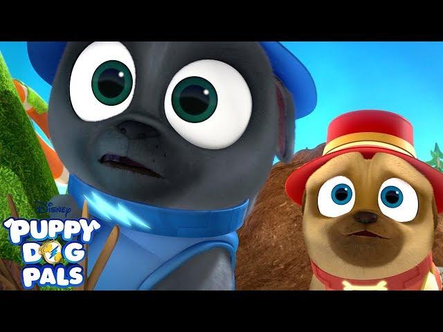 Meeting Ol' Snapper! | Puppy Dog Pals | Disney Junior