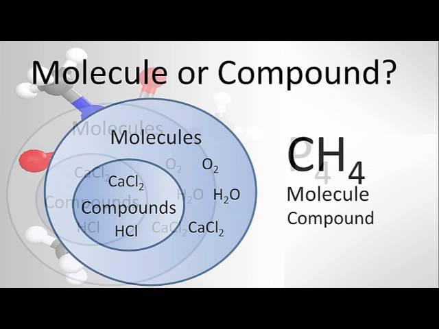 Molecule vs Compound: Examples and Practice