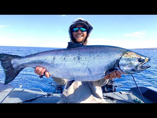 King Salmon Fishing Lake Michigan 2021 - 30 POUNDER!!!