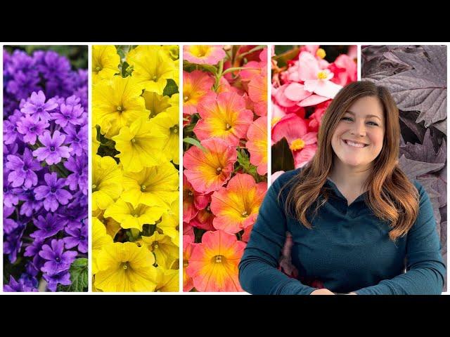 5 Must-Have Annuals for 2023!  // Garden Answer