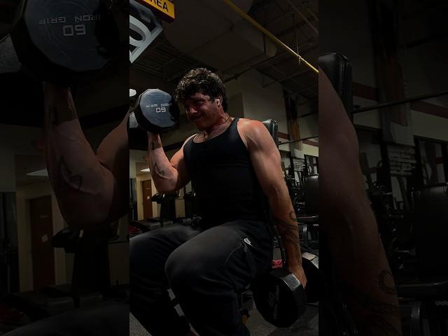 Seated 60lb Dumbbell curls with good form #fitness #gymcontent #lifting #gym