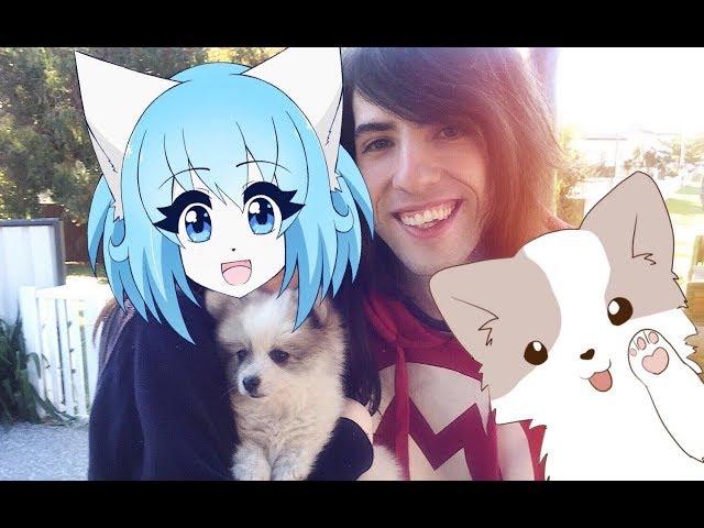 Our new Puppy! | Wolfychu