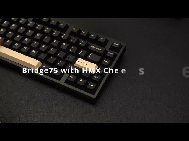 Bridge75 with HMX Cheese Linear Switches