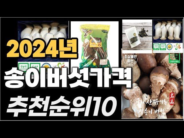 송이버섯가격 이거사시면 됩니다 2024년 추천 TOP10