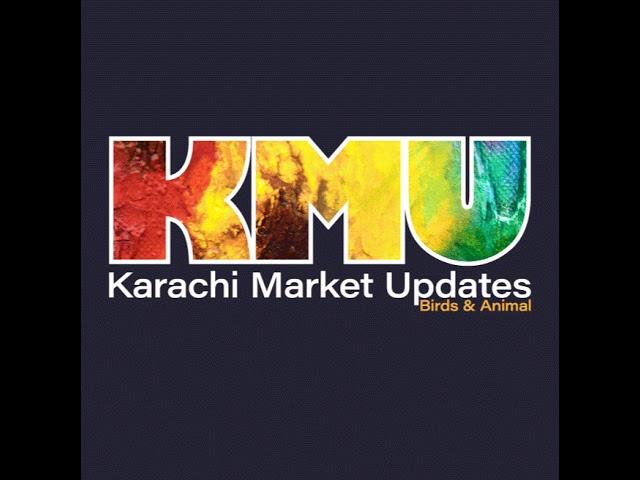 Karachi Market Updates - KMU is live