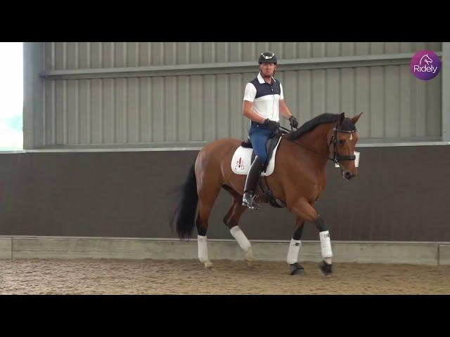 Creating Expression in the Trot with Gareth Hughes