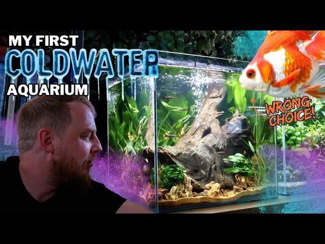 How to setup! Temperate/Coldwater aquarium. (DO NOT PICK GOLDFISH!)