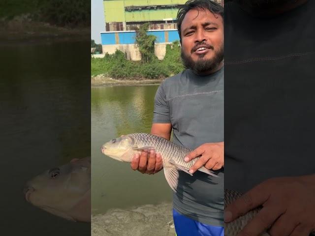 This is my Fish project. #viralvideo #fishingvideo