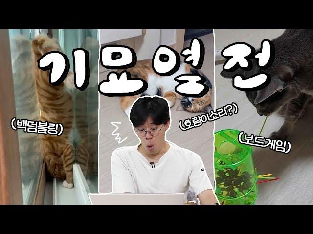 이왜진? 수의사인생을 뒤흔든 역대급 천재 고양이들