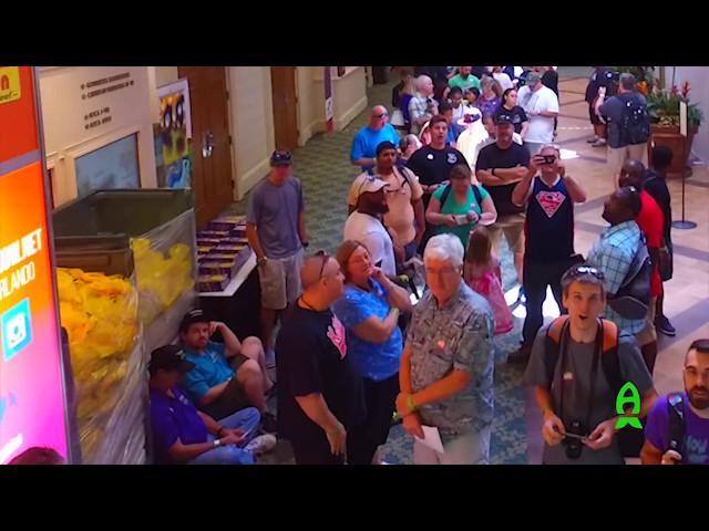 Reef A Palooza Orlando 2017 Bird Eye View