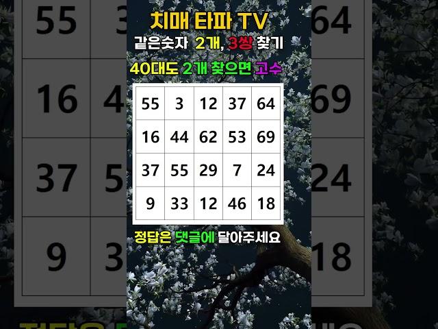 치매타파. 40대도 울고가는