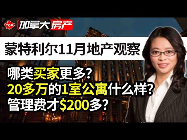 蒙特利尔11月地产观察：哪类买家更多？20多万的1室公寓什么样？管理费才200多？| YangYang Zhang