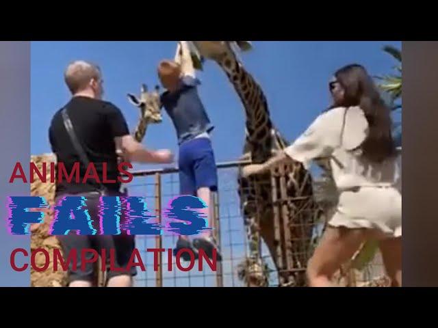 Hilarious Animal Fails Compilation 2024Animals Gone Wild: Epic Fail Moments