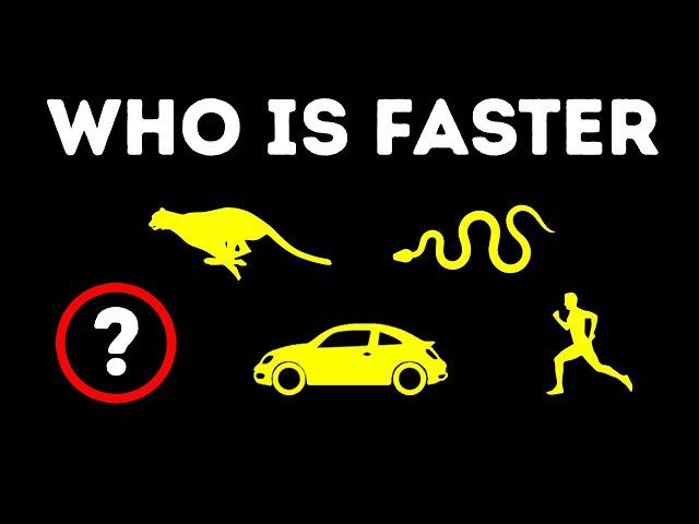 Who Is the Fastest Living Being in the World?