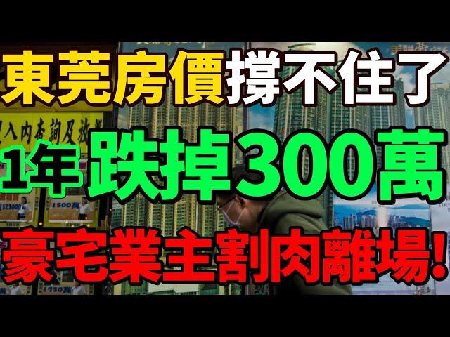 【1年跌掉300萬】東莞房價撐不住了！豪宅業主割肉離場，有錢人也開始慌了！#房價 #東莞 #樓市 #豪宅 #財經 #樓盤 #財經節目