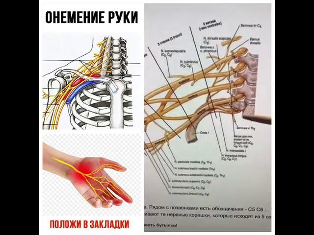 ПОДУШКА МЕЙРАМА