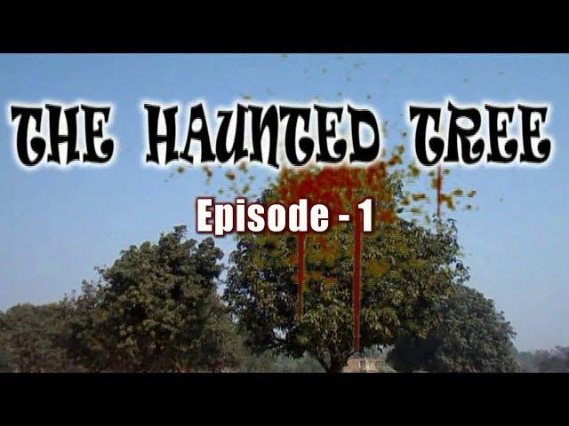 The Haunted Tree : Episode - 1