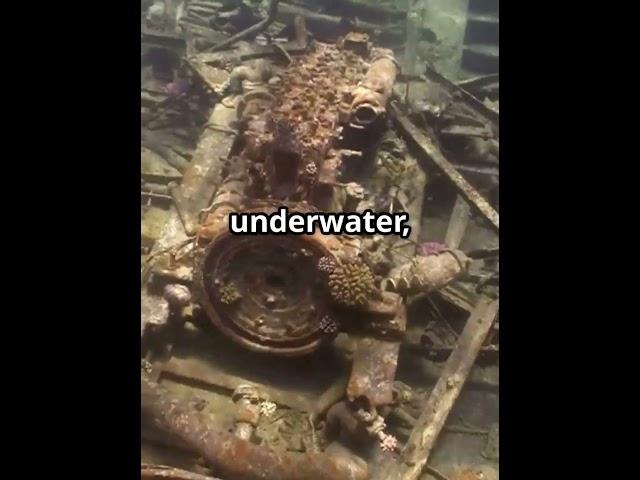 The Vasa  Sweden's Sunken Marvel! #shorts