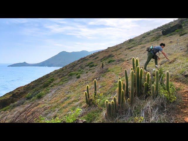 Islands 2030 | California Academy of Sciences