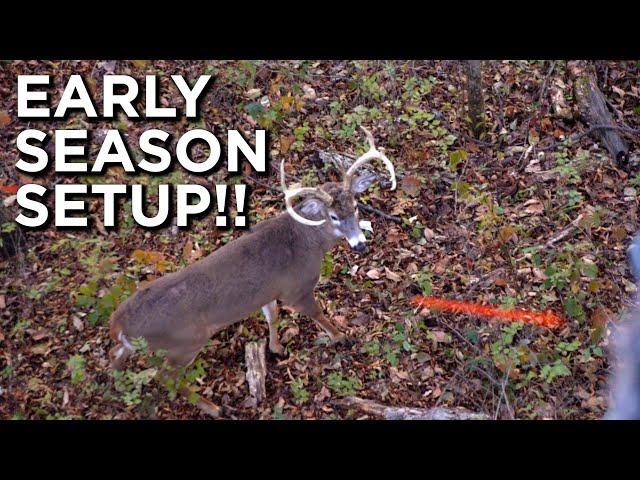 Early Season Bow Hunting Setups!!