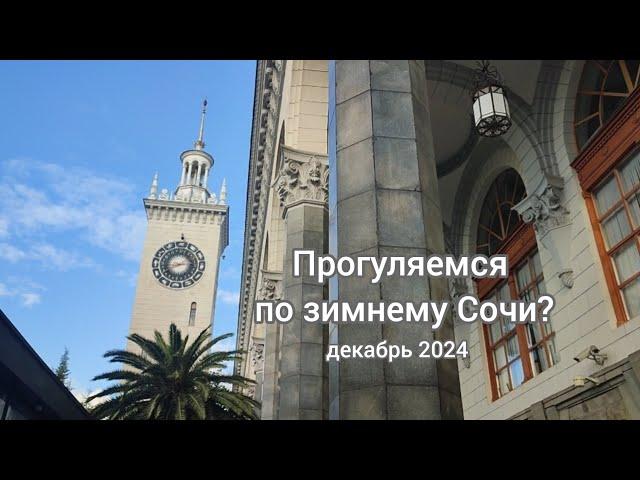 Прогулка по зимнему Сочи. Декабрь 2024