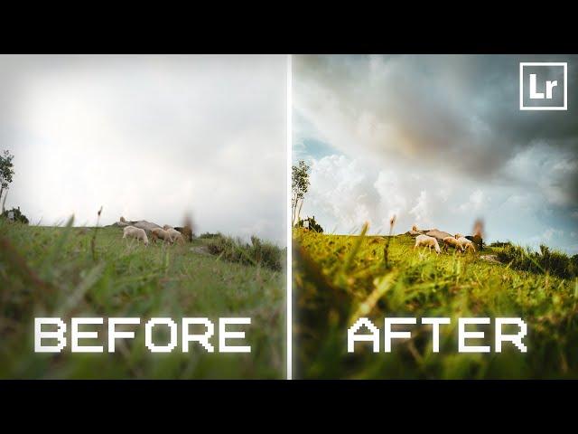 Editing Your Photos