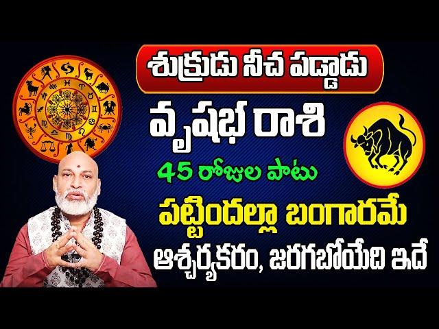 శుక్రుడు నీచ పడ్డాడు | Vrushabha Rasi Phalalu 2024 Telugu | Vrushabha Rasi Phalalu October 2024