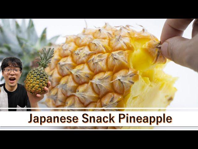 Food Review | Cheap vs Expensive Pineapples | All About the Attractiveness of Japanese Okinawa Snack