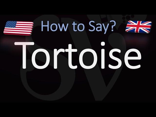 How to Pronounce Tortoise? (CORRECTLY)