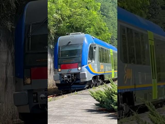 Swing  passing Calavorno Station with HORN  #train #spotting