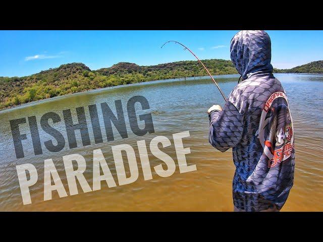 Insane Tilapia Fishing in Clear Water! (Redbreast Bream/Kurper)