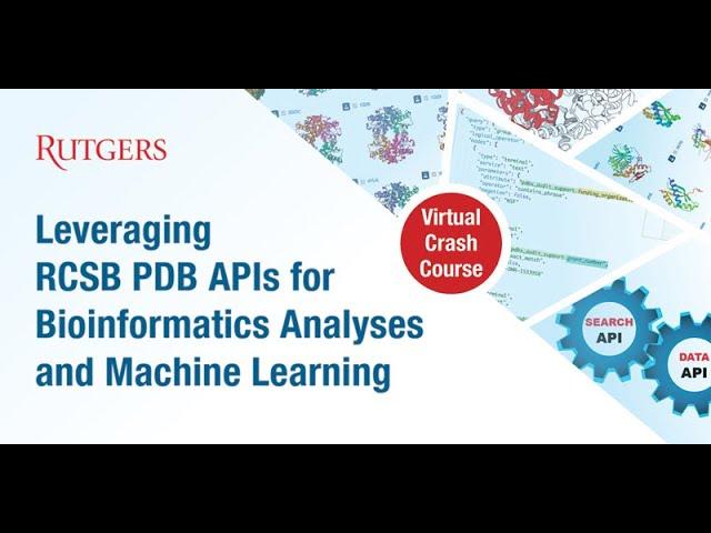 Leveraging RCSB PDB API's for Bioinformatics Analyses and Machine Learning