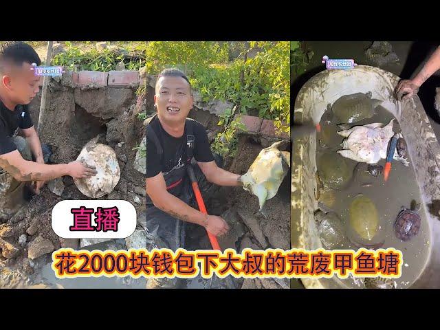 【直播】花2000块钱包下大叔的荒废甲鱼塘，没想到里面出现...... 【在养殖场安全，请大家不要模仿】