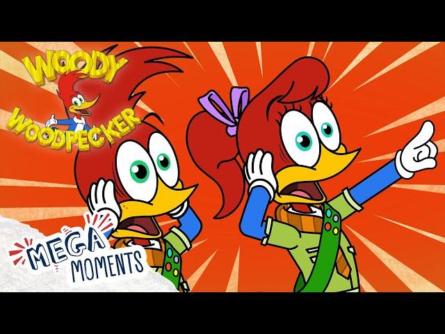 Woody Helps the Scouts | Woody Woodpecker | Compilation | Mega Moments